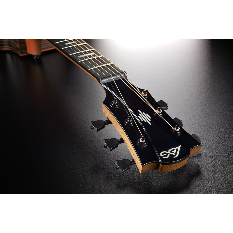 LAG HV50ACE hyvibe 50 auditorium cutaway electro