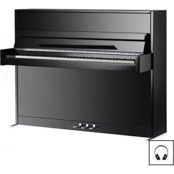 SCHIMMEL Europe E116 Modern - Noir Brillant