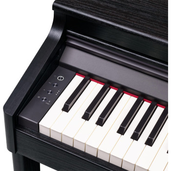 ROLAND RP701-CB noir mat