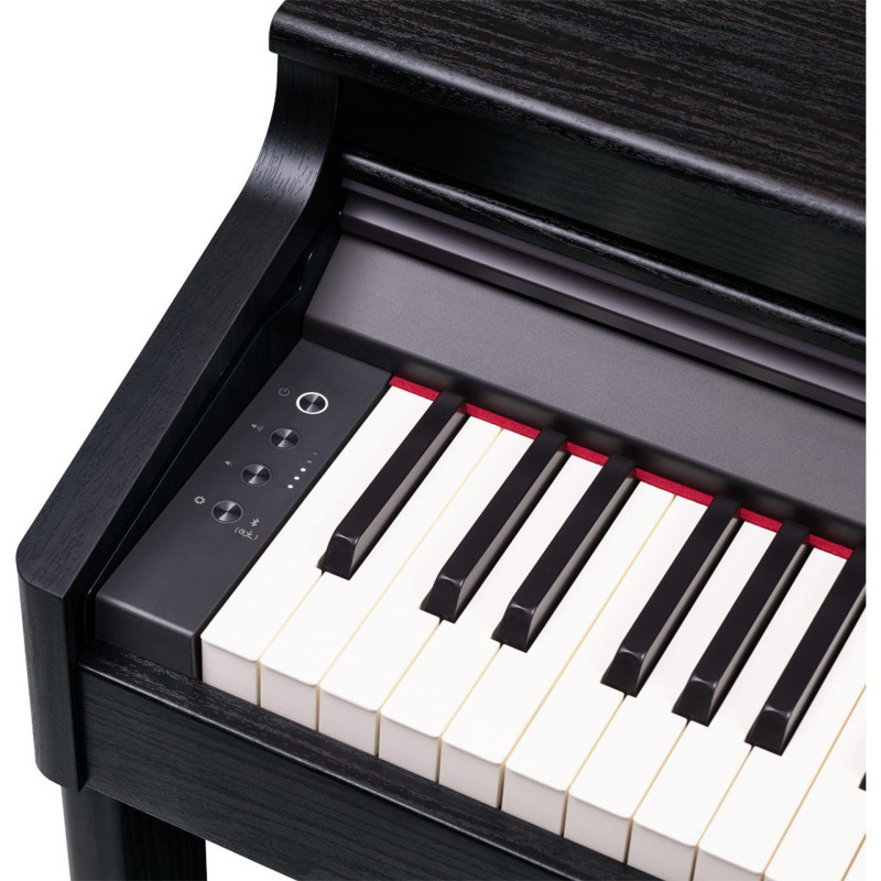 ROLAND RP701-CB noir mat