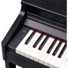 ROLAND RP701-CB noir mat
