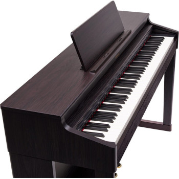 ROLAND RP701-DR dark rosewood Palissandre
