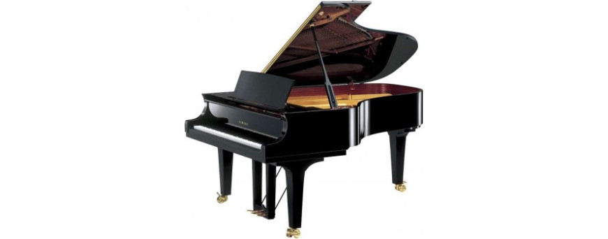 Piano à queue 1/2