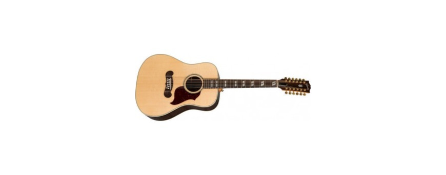 Guitare electro acoustique12 cordes