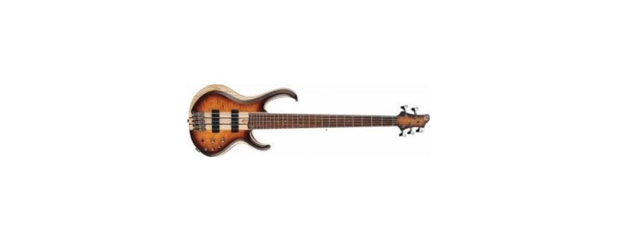 Basse 5 cordes 