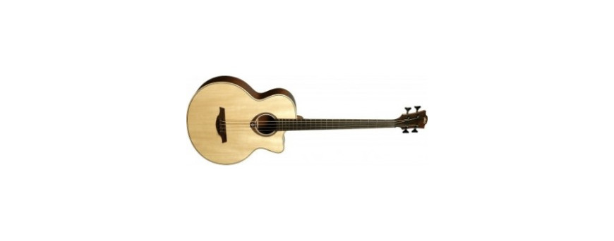 Basse acoustique