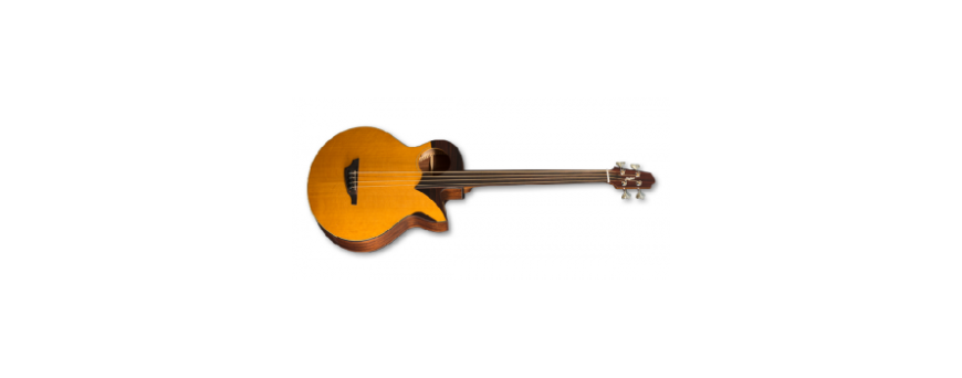Basse fretless 