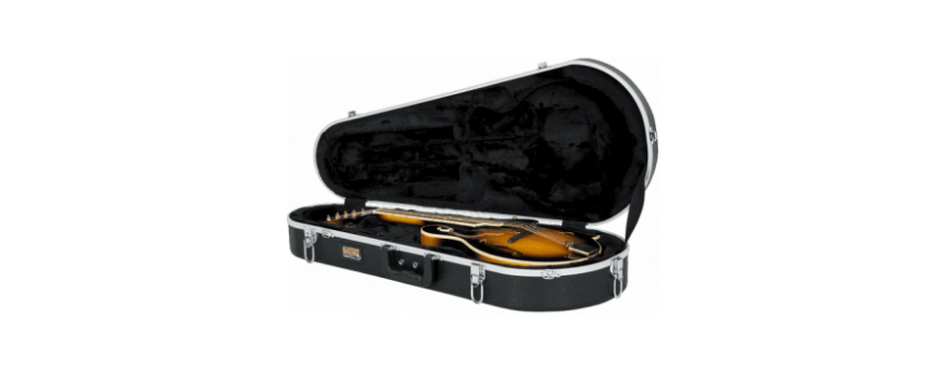 Housses et etuis autres guitares