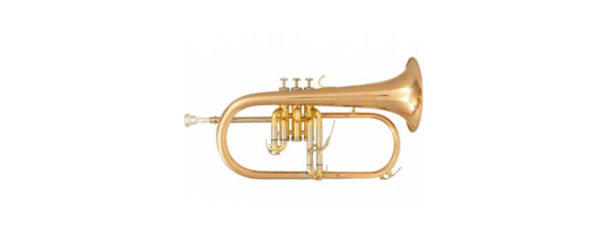 Bugles  etude & semi-professionnels 