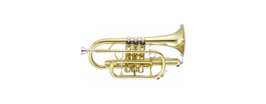 Cornets etude & semi-professionnels