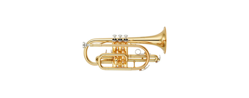 Cornets professionnels