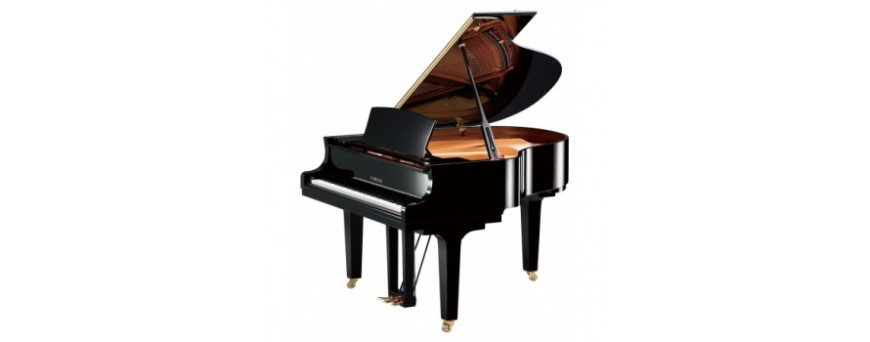 Piano à queue silent