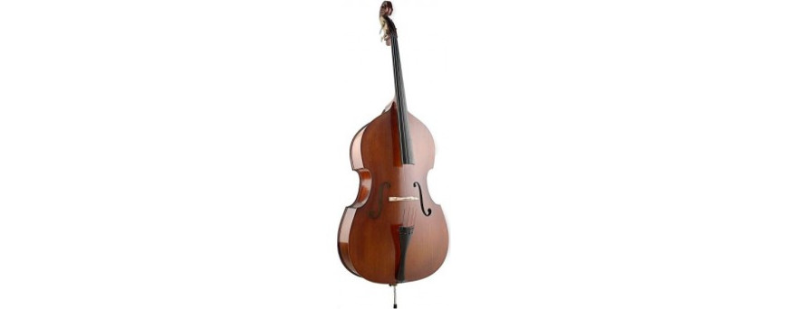 Contrebasses 