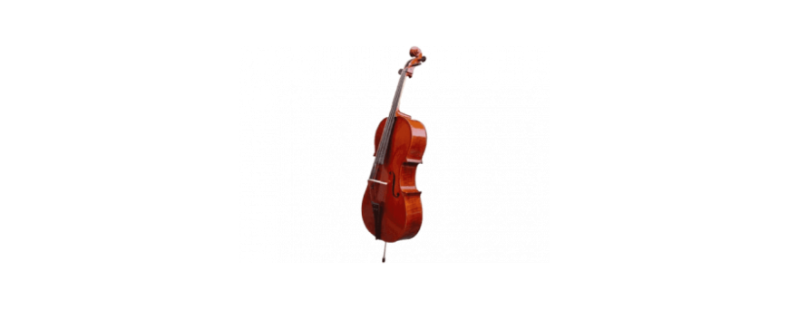Violoncelles 