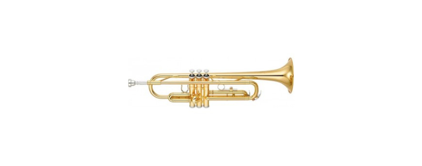 Trompettes & cornets 
