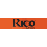 RICO