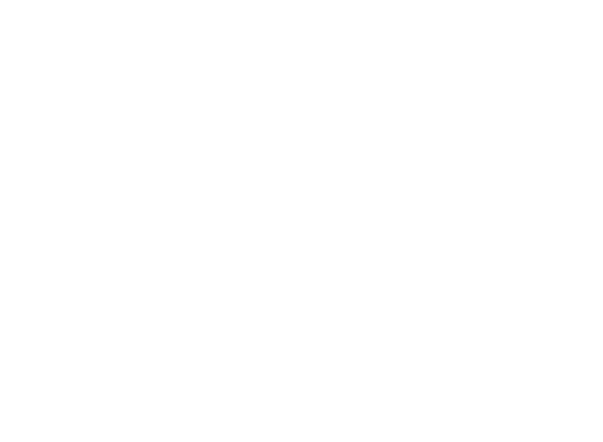 Schimmel